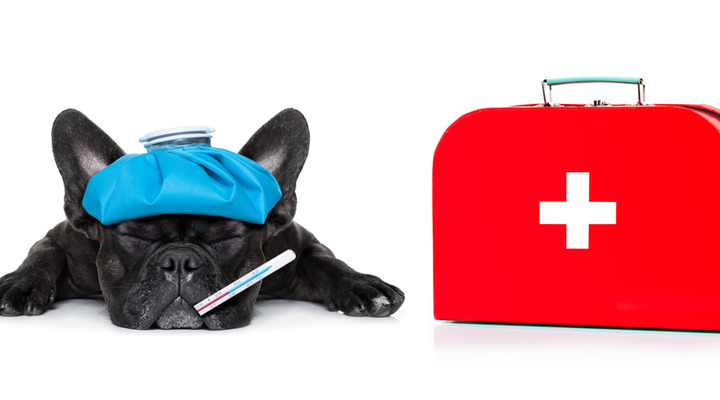 Reisekrankenversicherung Reisekrankenversicherung